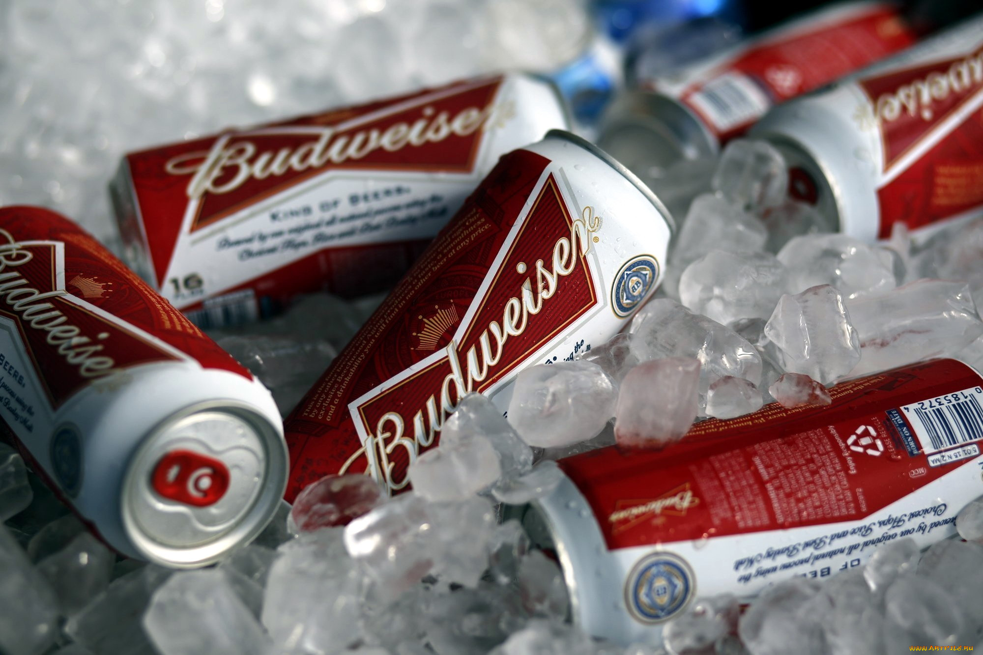 , budweiser, 